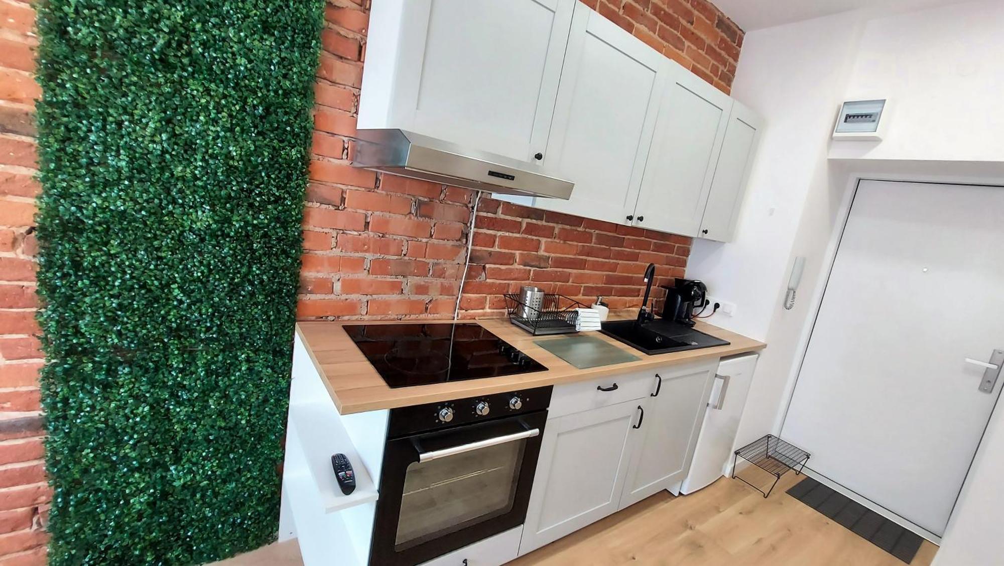 Theapartments Radwanska Lodž Pokoj fotografie