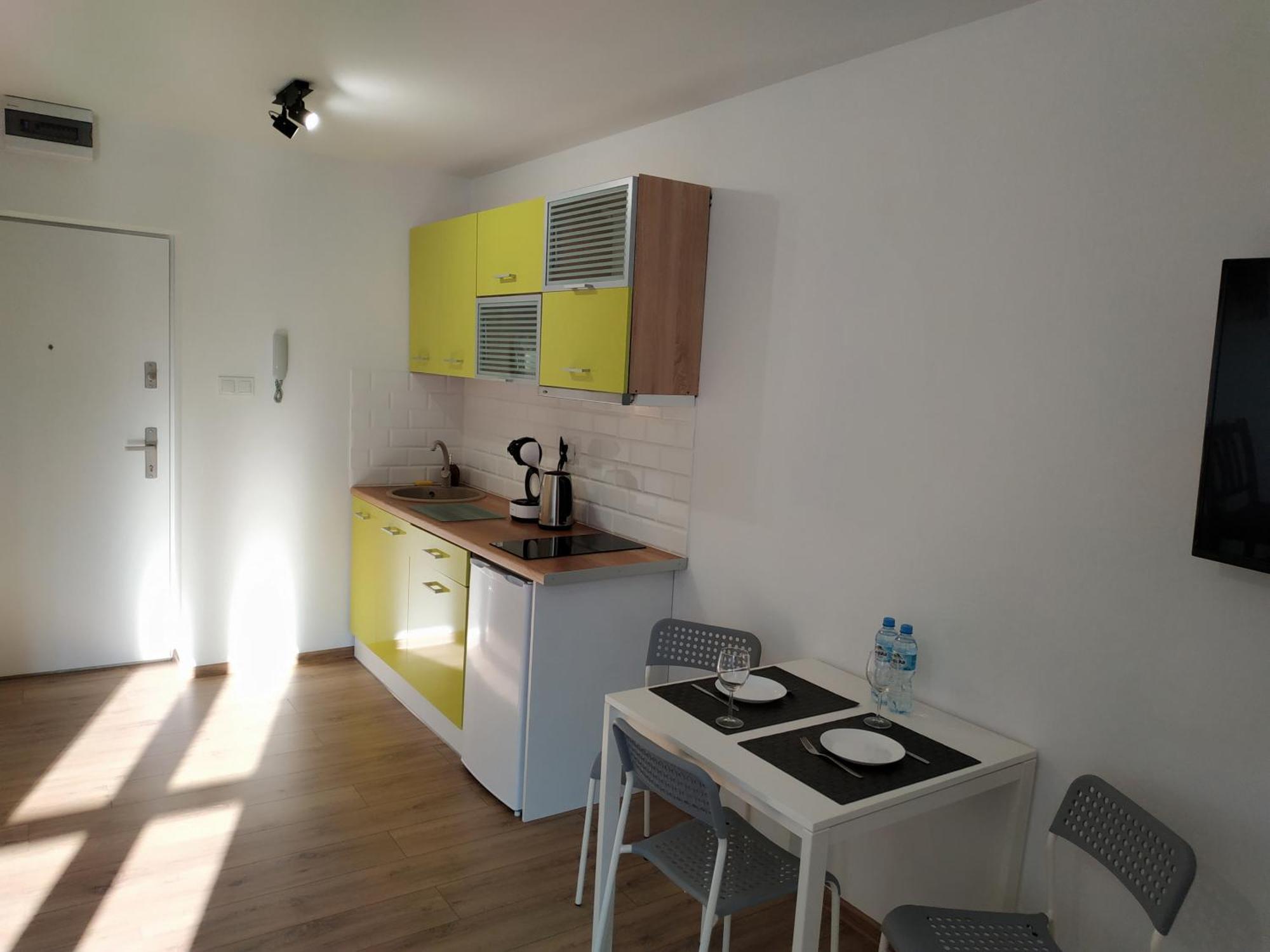 Theapartments Radwanska Lodž Pokoj fotografie