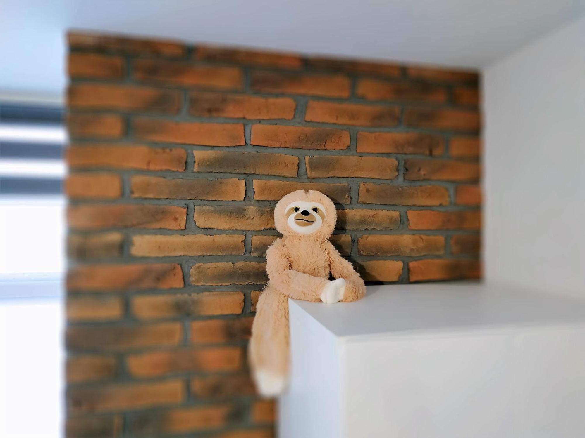Theapartments Radwanska Lodž Pokoj fotografie